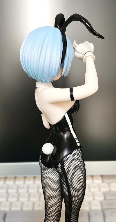 Re：从零开始的异世界生活 BiCute Bunnies玩具人偶ー雷姆·bicolorー