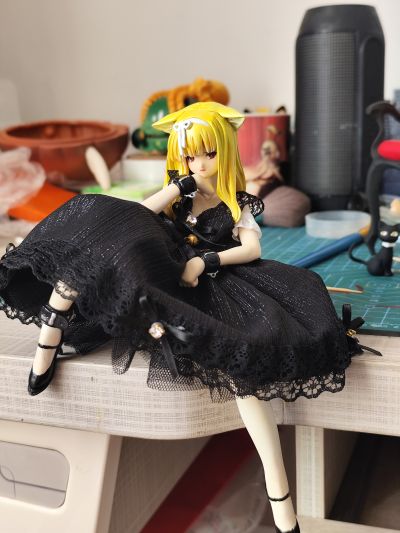 猫と椅子 from 猫の惑星