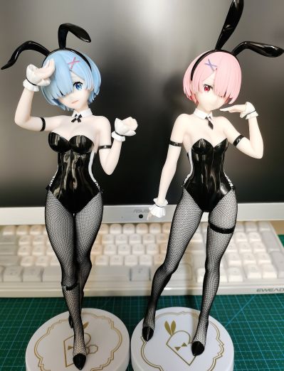 Re：从零开始的异世界生活 BiCute Bunnies玩具人偶ー雷姆·bicolorー