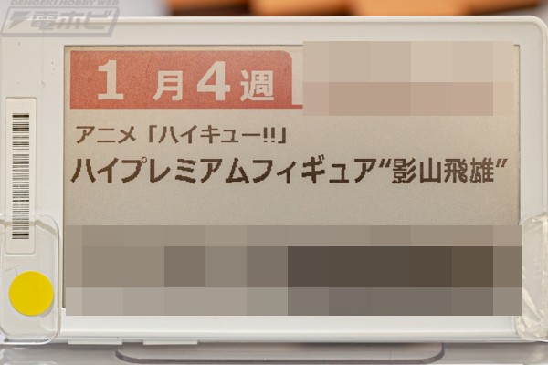 《排球少年》动画版 高端奖品人偶“日向翔阳”