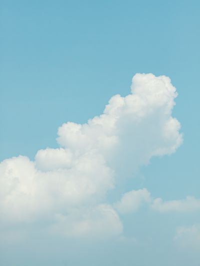 粘土娃 蔷薇少女 真红