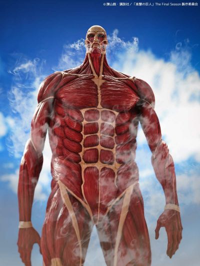 大尺寸软胶系列 超大型巨人