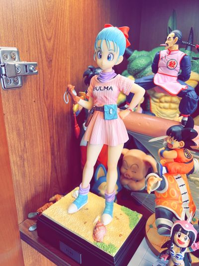 巨型系列 龙珠 布玛