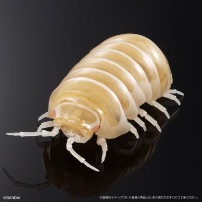 生物大图鉴 进阶版 西瓜虫（重涂装版） 线上扭蛋版