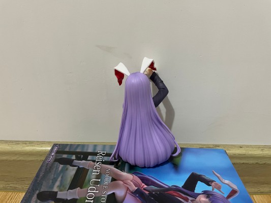 压泡面 东方Project ー铃仙·优昙华院·因幡ー