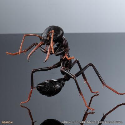生物大图鉴进阶版 斗牛犬蚁 树皮底座（中号）套装