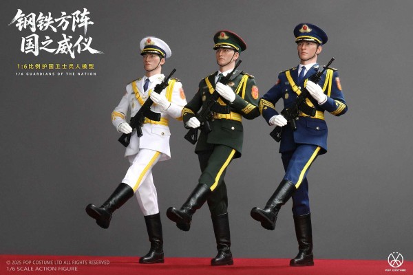 1/6 护国卫士