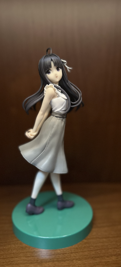 少女乐队的呐喊 海老塚智