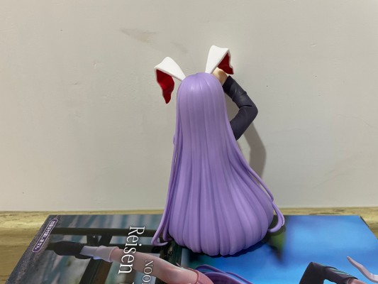 压泡面 东方Project ー铃仙·优昙华院·因幡ー