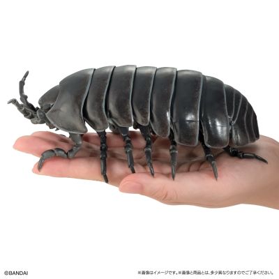 生物大图鉴 进阶版 西瓜虫（重涂装版） 线上扭蛋版