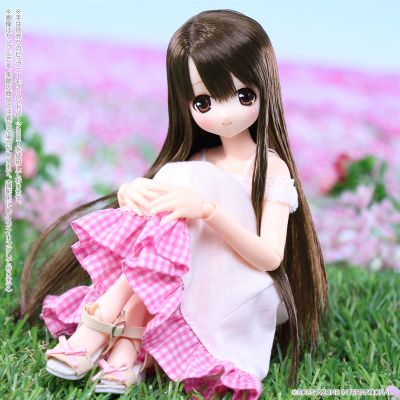 POD019-ACR Sarah's a la Mode 艾丽莎/甜蜜时光穿搭套装~深棕色头发~(AZONE网上商店限定)