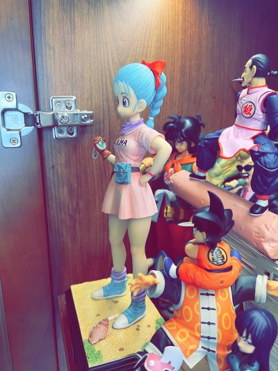 巨型系列 龙珠 布玛