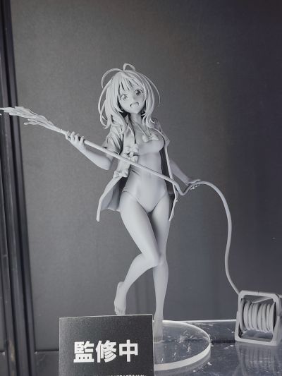 败北女角太多了! 八奈见杏菜 学校泳装