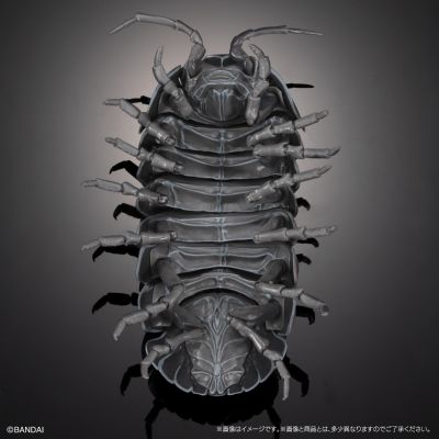 生物大图鉴 进阶版 西瓜虫（重涂装版） 线上扭蛋版