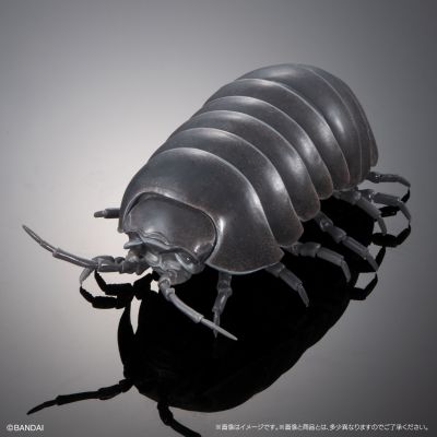 生物大图鉴 进阶版 西瓜虫（重涂装版） 线上扭蛋版