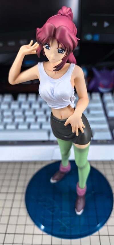 ExcellentModel RAH DX 5 机动战士高达SEED 芙蕾・阿露斯达