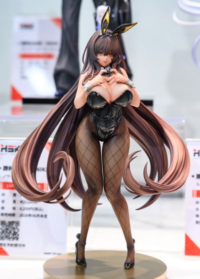 胜利女神：新的希望 诺亚尔