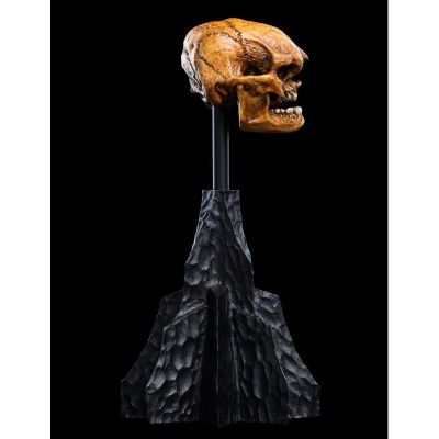 霍比特人 迷雾山脉 哥布林头骨