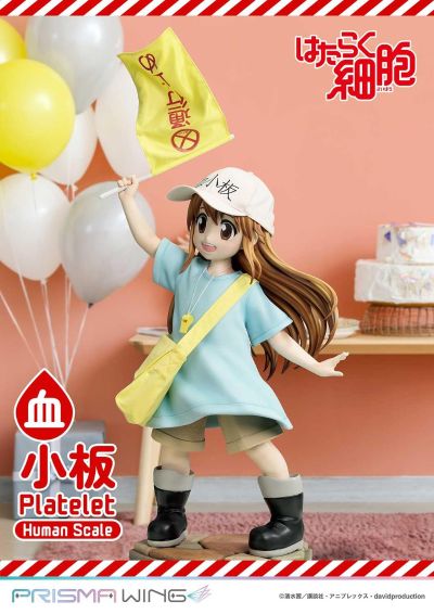 真人比例主线 工作细胞 血小板