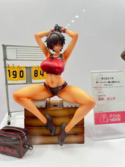 田径队的假小子 早乙女辰树（暂译）