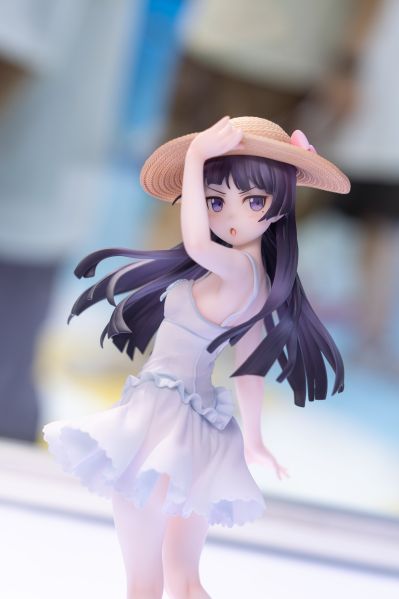 我的妹妹不可能那么可爱 黑猫（五更琉璃）白猫