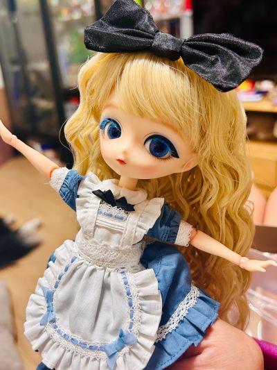 Harmonia bloom ALICE A