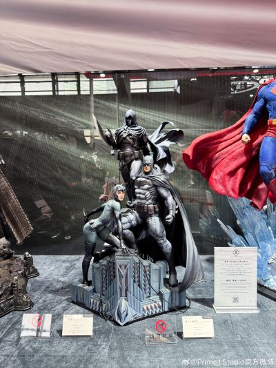 蝙蝠侠大战幻影人 蝙蝠侠与猫女