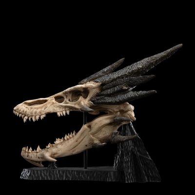 霍比特人 史矛革巨龙头骨