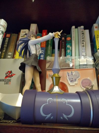 虽然是公会的柜台小姐， 但因为不想加班所以打算独自讨伐迷宫头目 Luminasta “亚莉纳·可洛瓦”