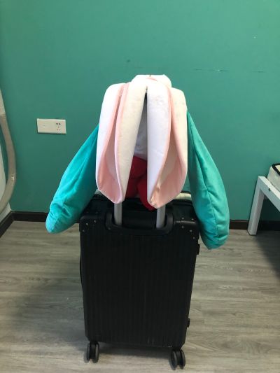 软绵绵玩偶 LL尺寸 初音未来 卯兔2023