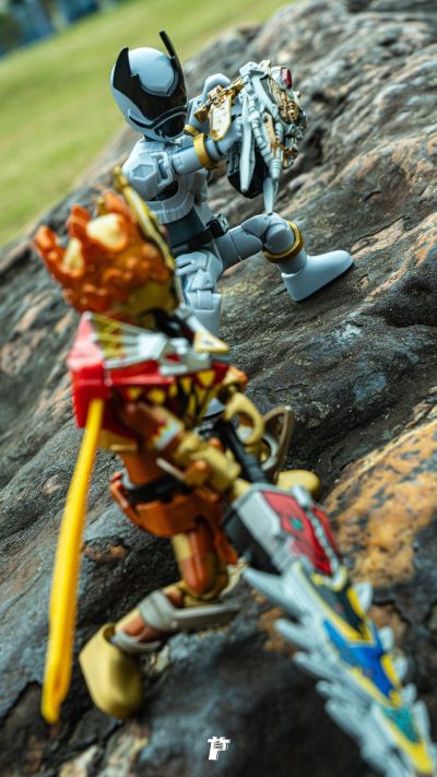 S.H.Figuarts 强龙红