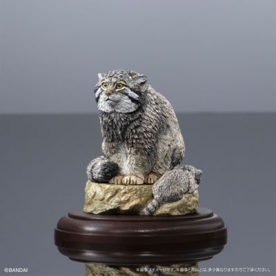 生物大图鉴 陈列模型系列 野生猫科动物