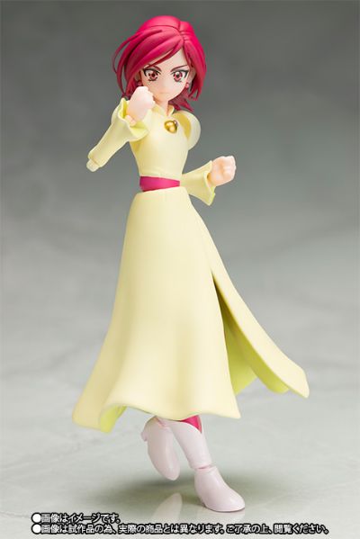 S.H.Figuarts 日向咲和雾生满 套装