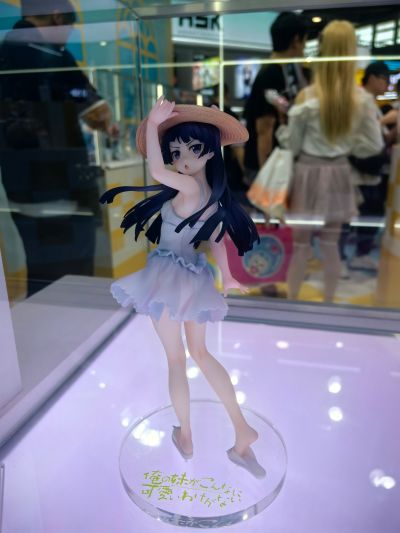 我的妹妹不可能那么可爱 黑猫（五更琉璃）白猫