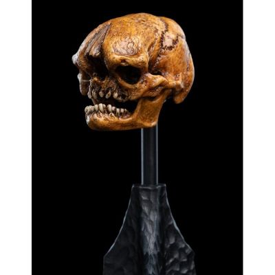 霍比特人 迷雾山脉 哥布林头骨