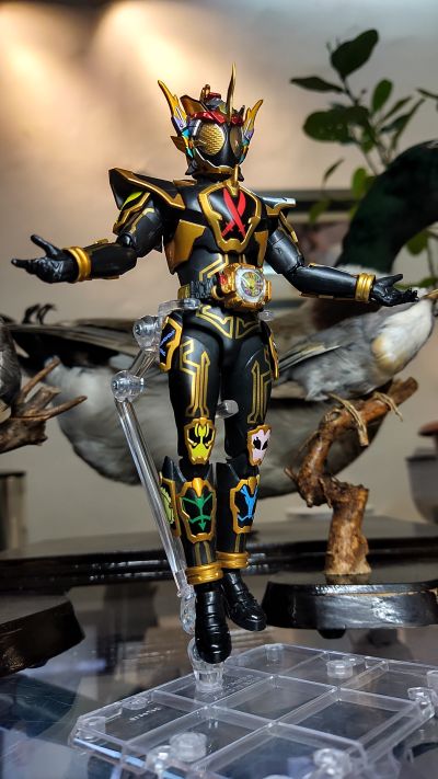 S.H.Figuarts 假面骑士灵骑   感恩魂