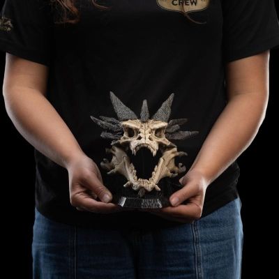 霍比特人 史矛革巨龙头骨