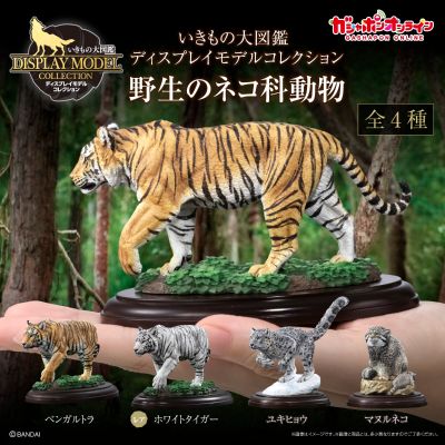 生物大图鉴 陈列模型系列 野生猫科动物