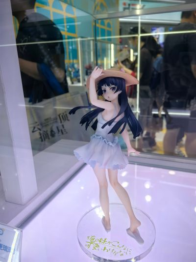 我的妹妹不可能那么可爱 黑猫（五更琉璃）白猫