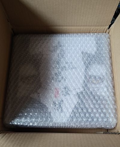 大理寺日志 李饼 猫爷  1/12可动人偶