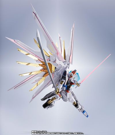 METAL ROBOT魂＜机动战士系列＞ 非凡强袭自由高达 最终决战版