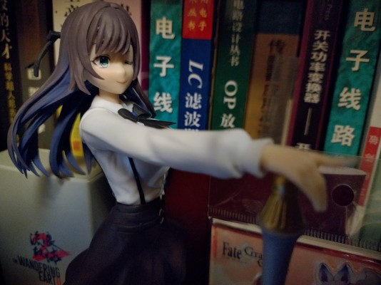 虽然是公会的柜台小姐， 但因为不想加班所以打算独自讨伐迷宫头目 Luminasta “亚莉纳·可洛瓦”