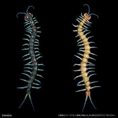 终极生物大图鉴系列 琉神大蜈蚣