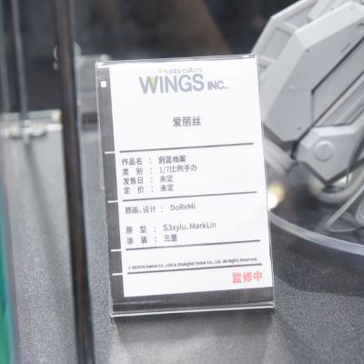 蔚蓝档案 爱丽丝