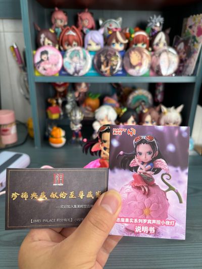 《航海王》恶魔果实系列罗宾声控小夜灯