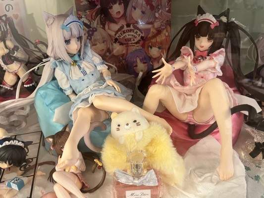 猫娘乐园 巧克力 裸腿