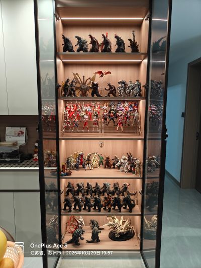 S.H.MonsterArts 雷吉翁