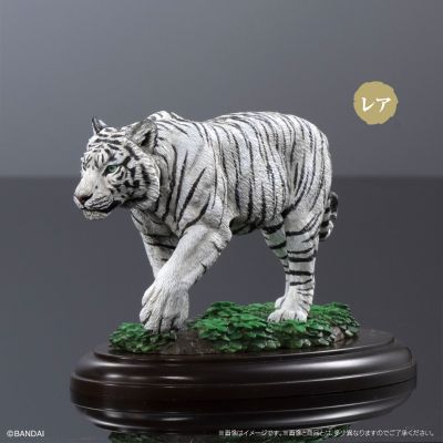 生物大图鉴 陈列模型系列 野生猫科动物