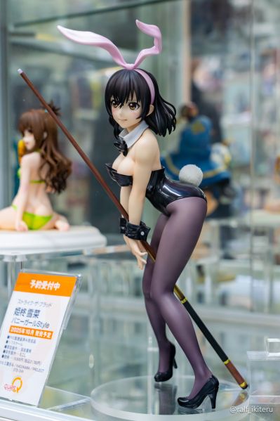 噬血狂袭 姬柊雪菜 兔女郎风格