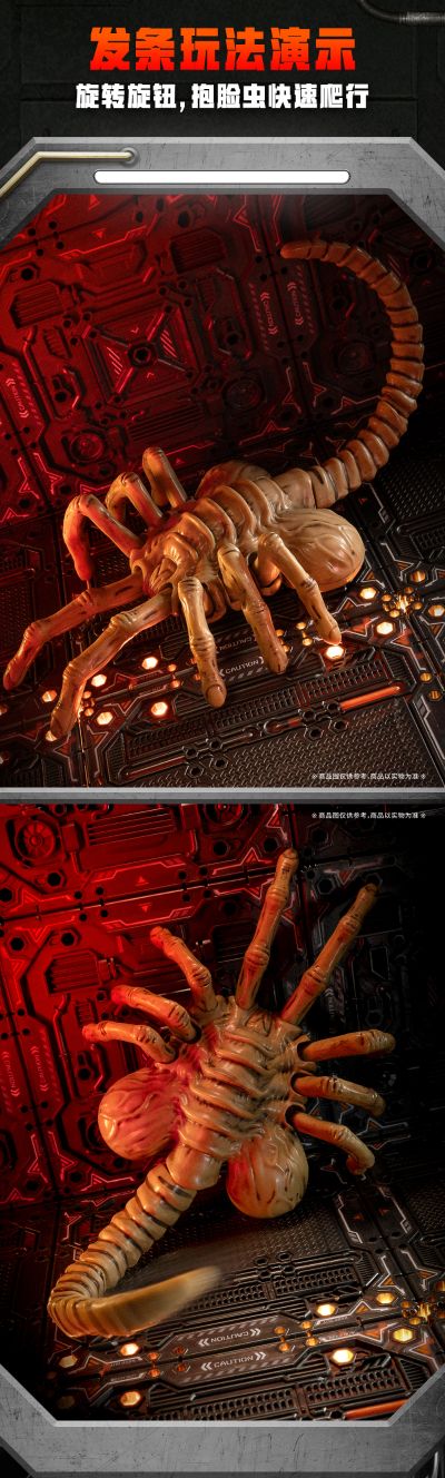 闪电奇舞 异形 抱脸虫